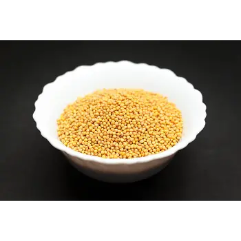 Natural  Yellow Mustard Seed